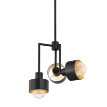 Troy F8716-SBK/GL - 3 - Light Pendant