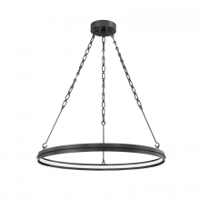 Other Chandeliers