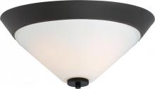 Bowl Flush Mounts