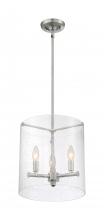 Nuvo 60/7187 - 3 - Light Pendant with Seeded Glass - Brushed Nickel Finish