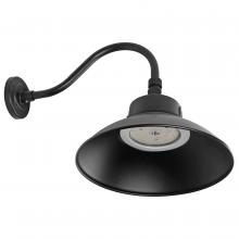 Nuvo 65/661 - D2D LED CCT Selectable Gooseneck Wall Scone