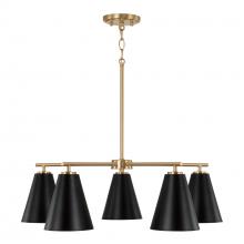 Austin Allen & Co. AA1040RK - 5-Light Chandelier in Matte Brass and Black