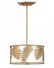 Fredrick Ramond FR35104BNG - 3 - Light Convertible Pendant