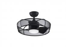 Fanimation FP8519BL - 20" Fandelier