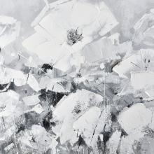 MEADOW STUDY