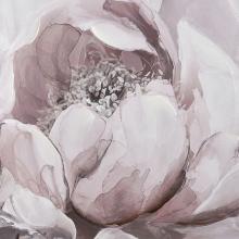 PETAL STUDY