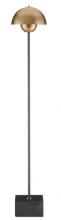 Floor Lamps